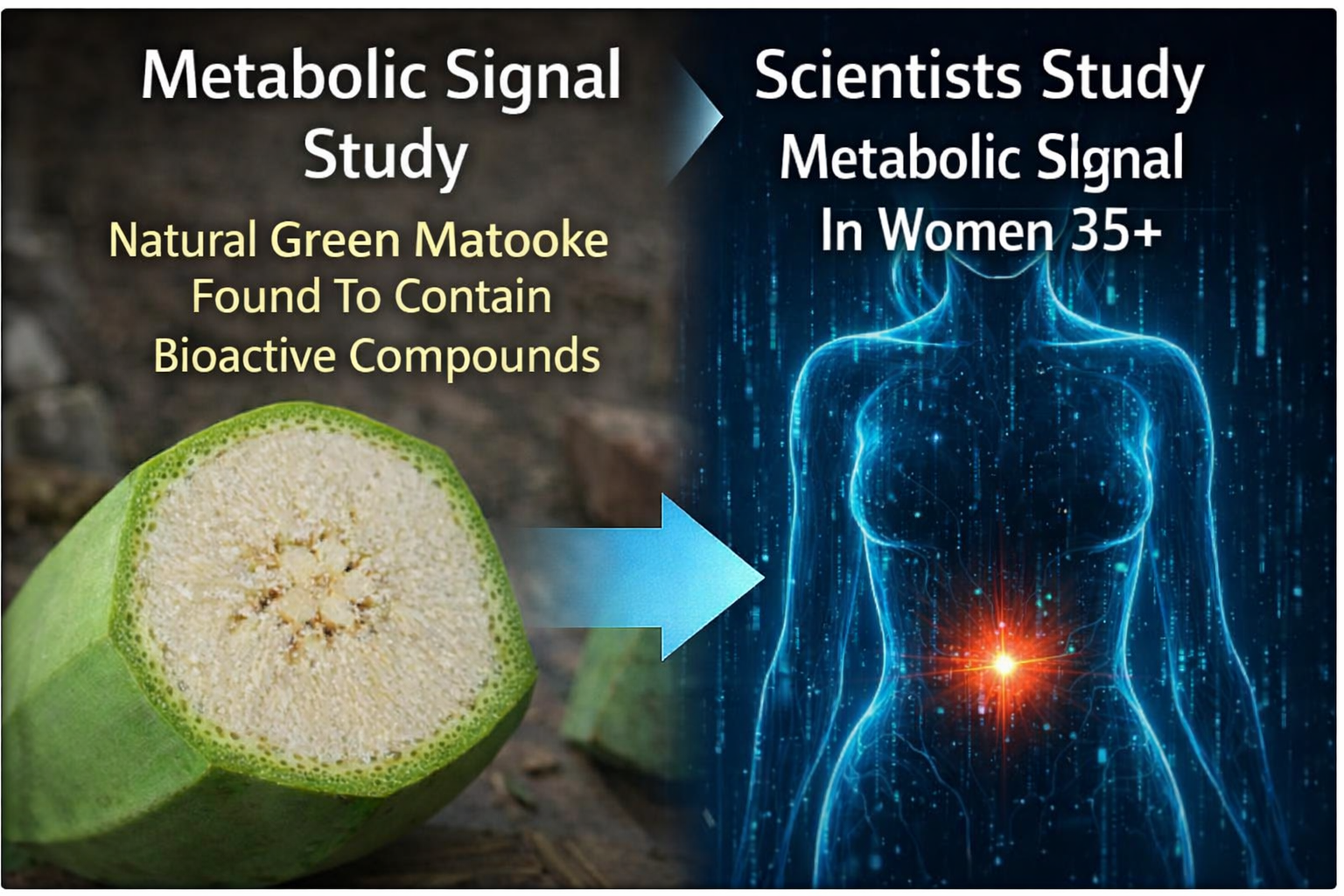Metabolic research presentation